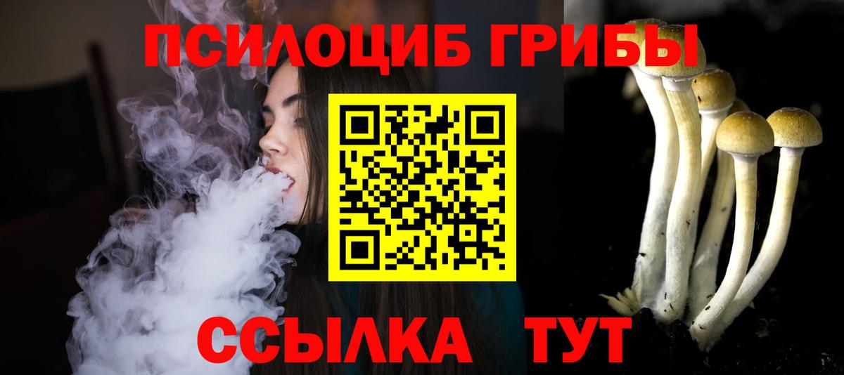 Псилоцибиновые грибы Psilocybine cubensis  Вход с VPN  Озёрск 