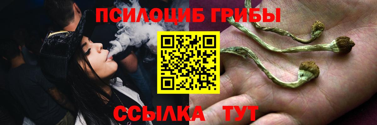Псилоцибиновые грибы мухоморы Озёрск